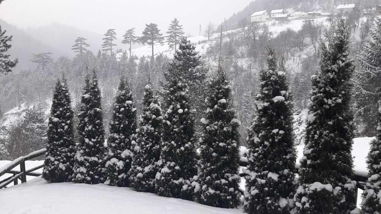 Apartman Suncana Dolina, Zaovine Exterior foto
